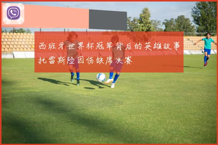 西班牙世界杯冠军背后的英雄故事托雷斯险因伤缺席决赛